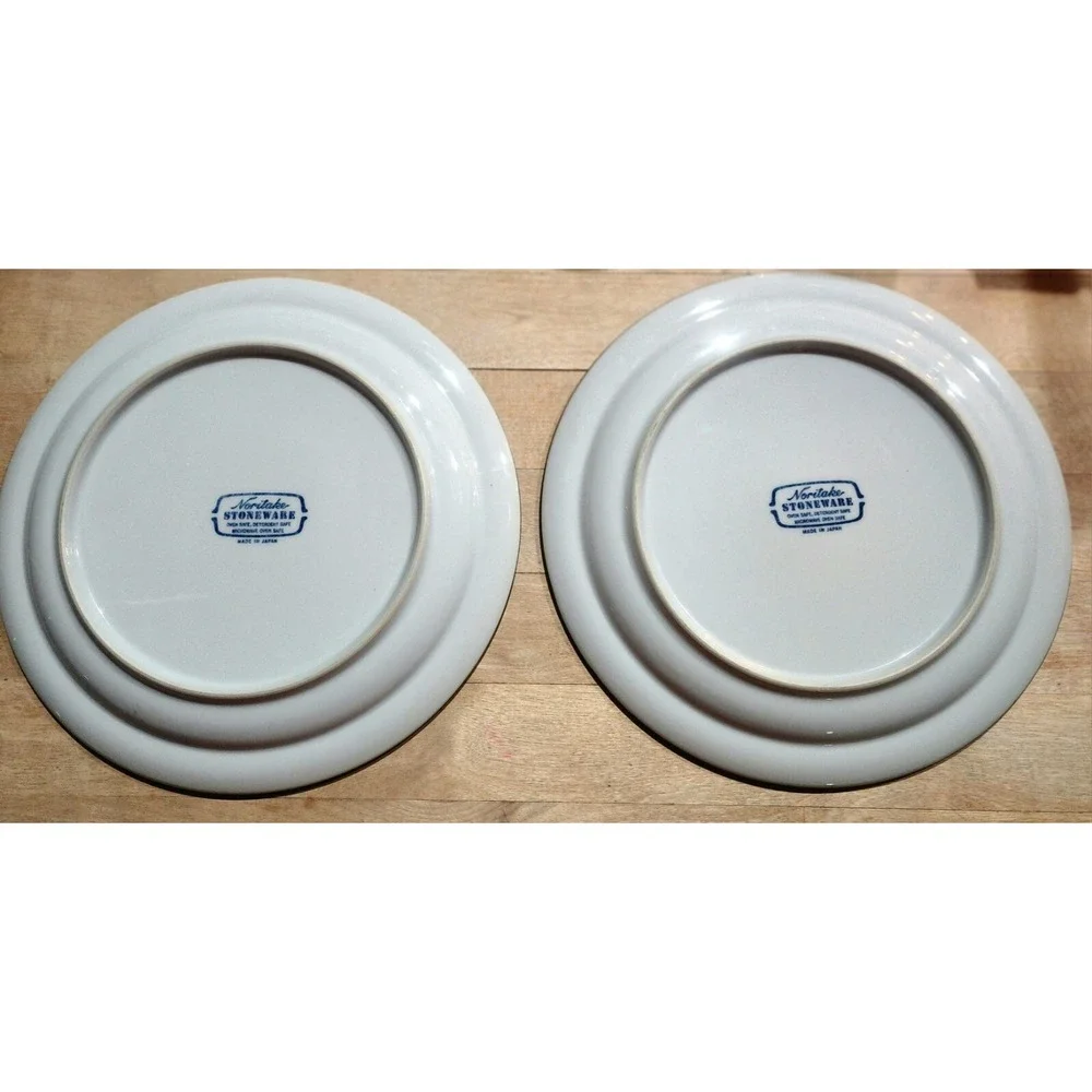2 Vintage NORITAKE STONEWARE Tundra‎ Pattern #8959 SALAD PLATES JAPAN 8.25